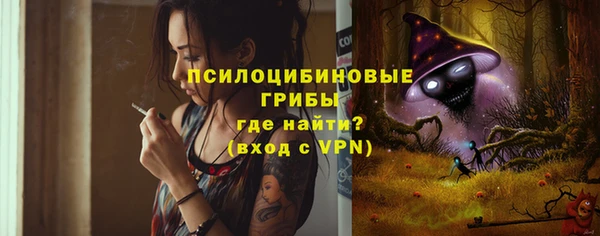 apvp Навашино