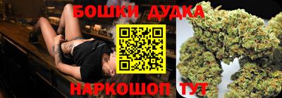 дмт Гатчина