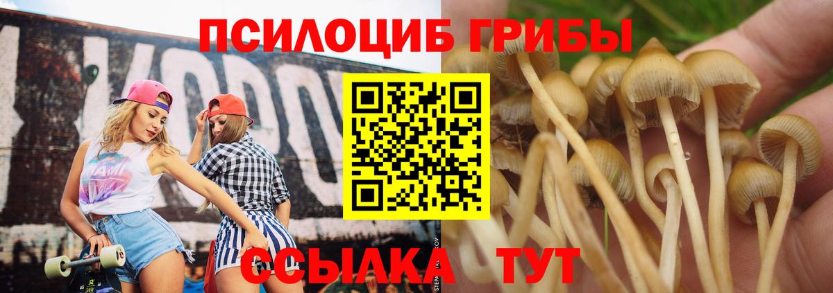 Псилоцибиновые грибы ЛСД Кумертау