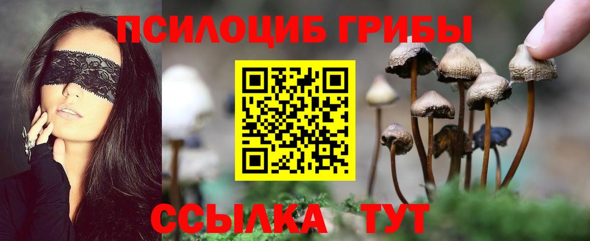 Галлюциногенные грибы ЛСД Кумертау