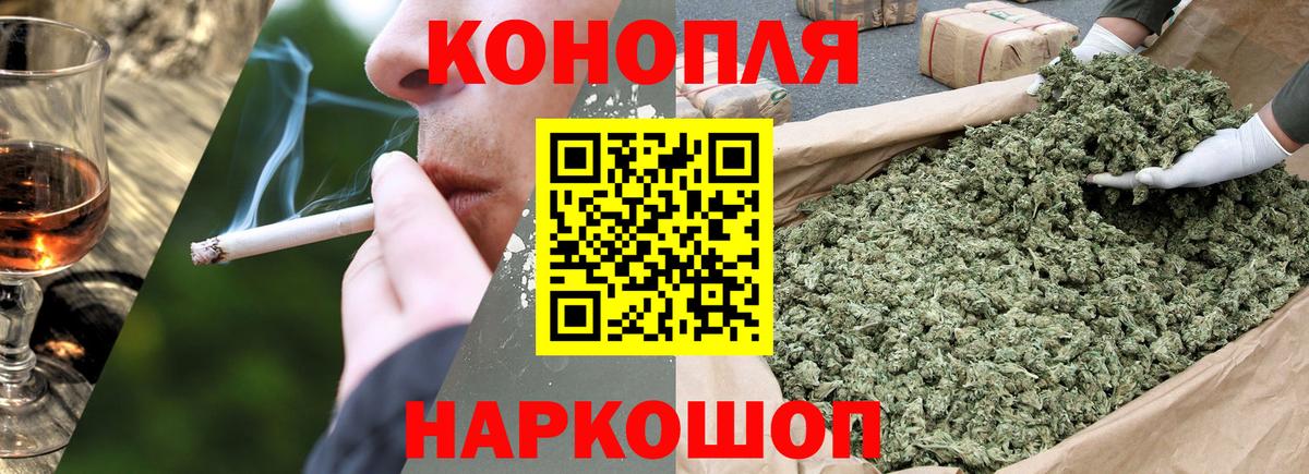 Шишки марихуана марихуана  Кумертау  Шишки марихуана сатива 